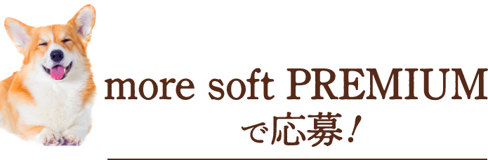 more soft PREMIUM で応募！