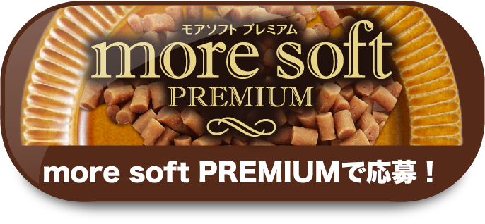 more soft PREMIUMで応募！