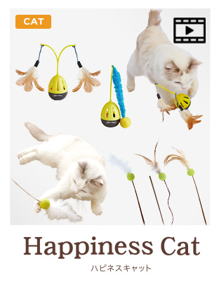 Happiness Cat  ハピネスキャット