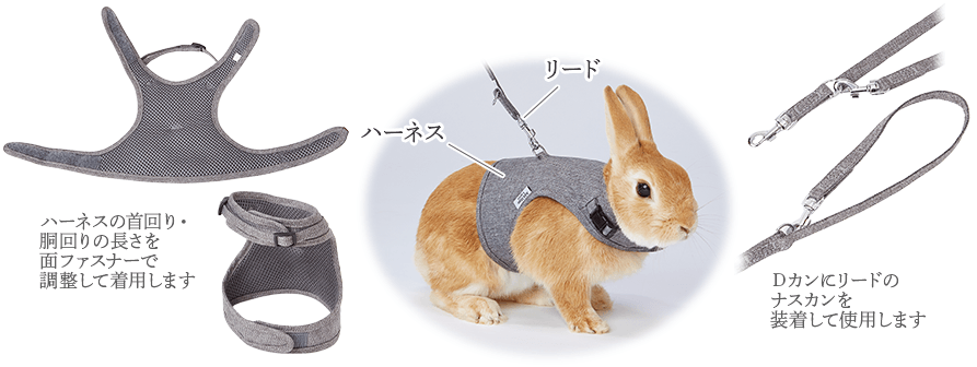 すぐにお散歩が楽しめる便利なハーネスとリードのセット