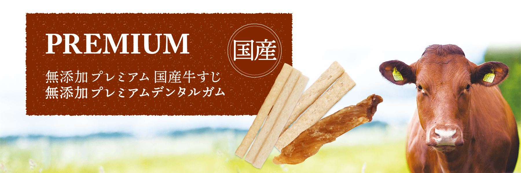 無添加 プレミアムデンタルガム