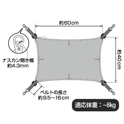 サイズ