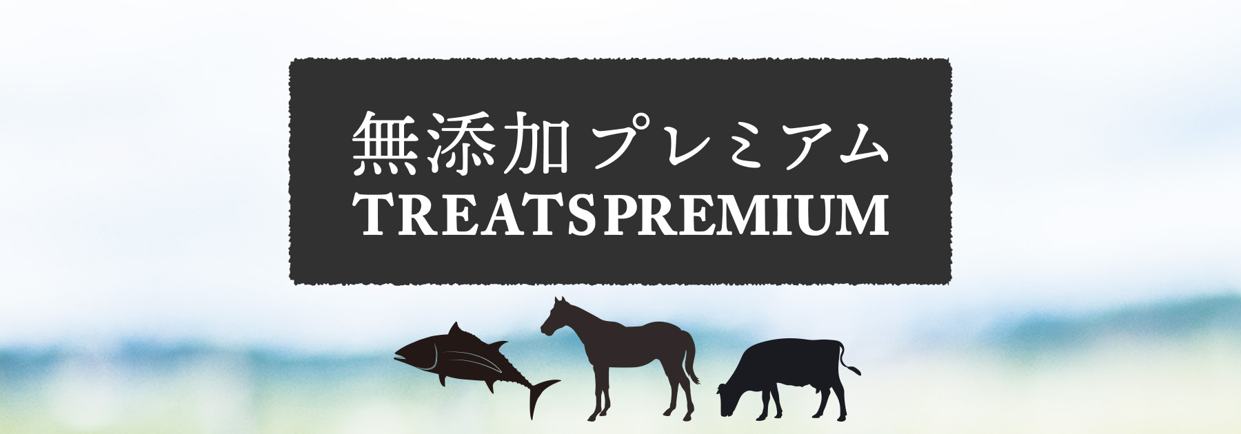 無添加 プレミアムデンタルガム