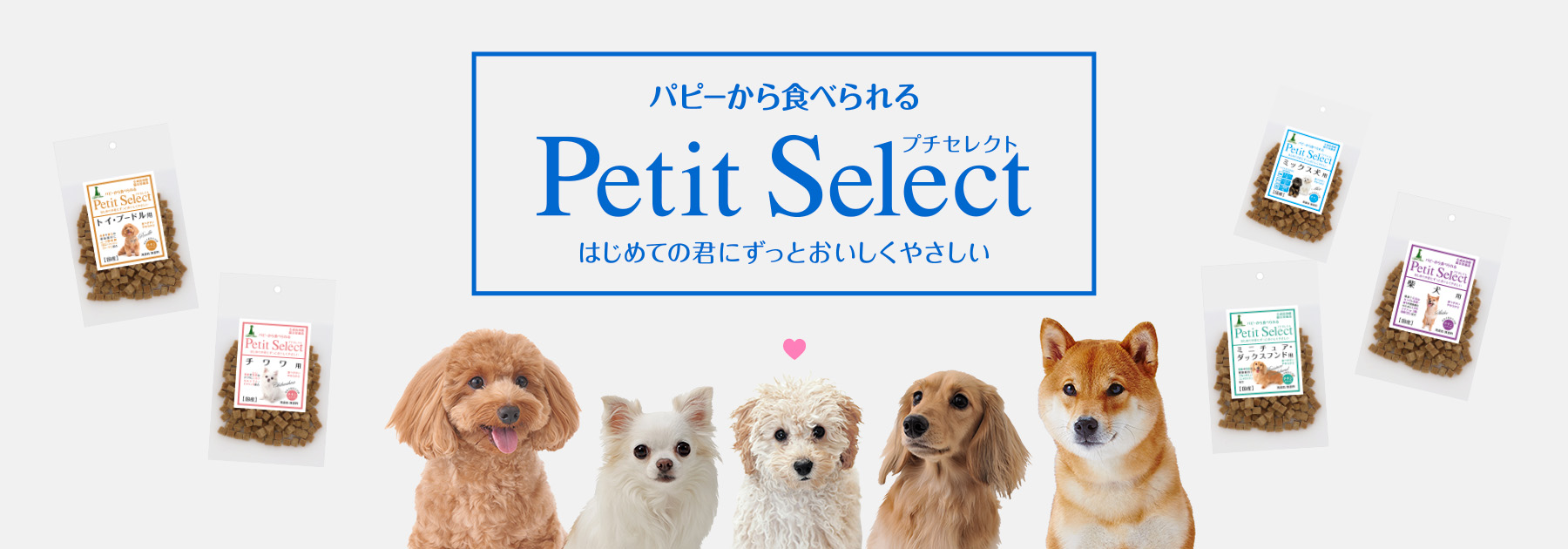 キャンディチーズ 