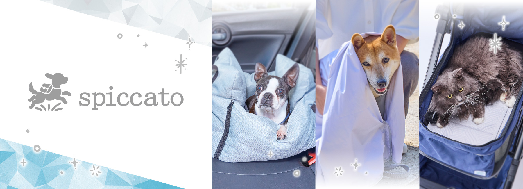 spiccato キービジュアル