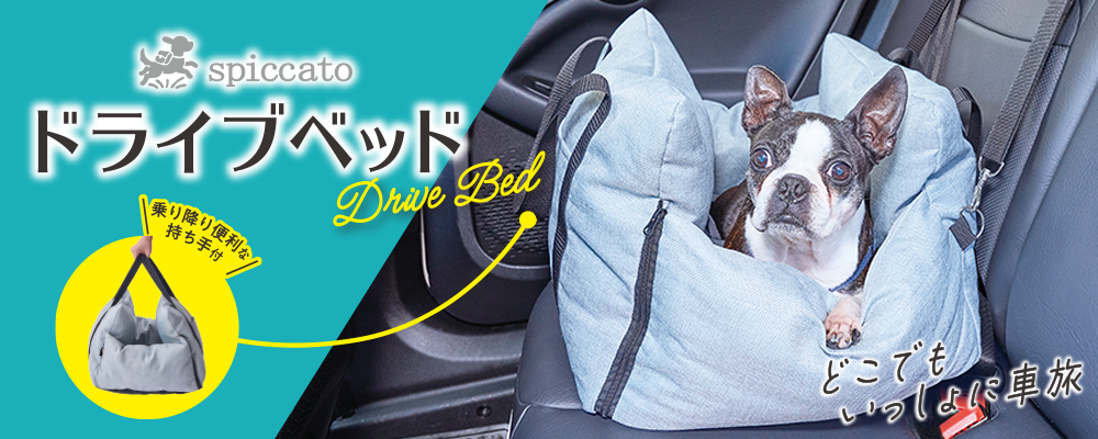 ドライブベッド