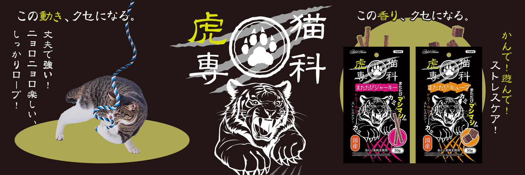 虎猫専科キービジュアル