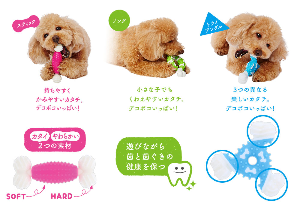 Enjoy！かむボーン
