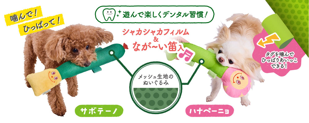 Enjoy！かむスクイーカー