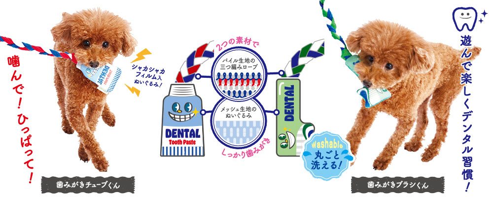 Enjoy！かむロープ