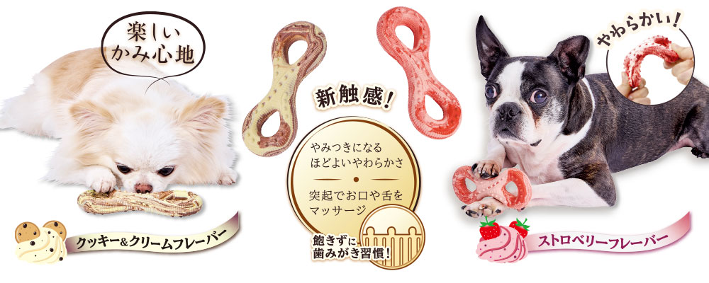Enjoy！かむラバー ドルチェ