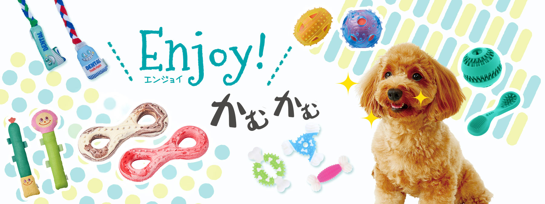 Enjoy！かむシリーズ