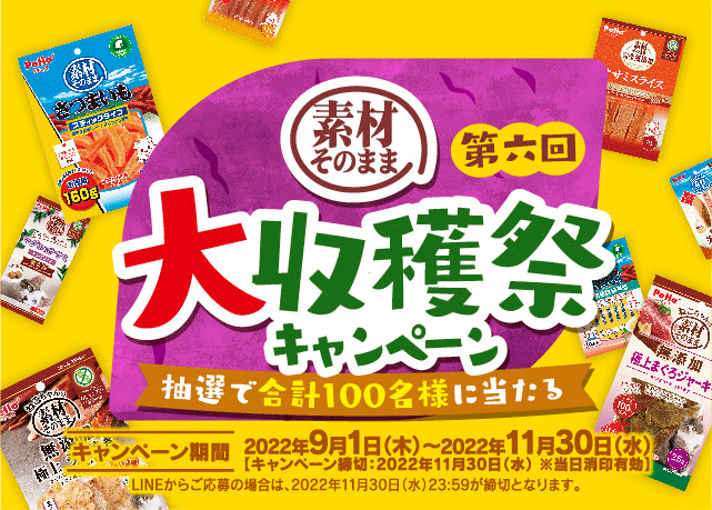 ペティオ　第六回「素材そのまま」大収穫祭キャンペーン