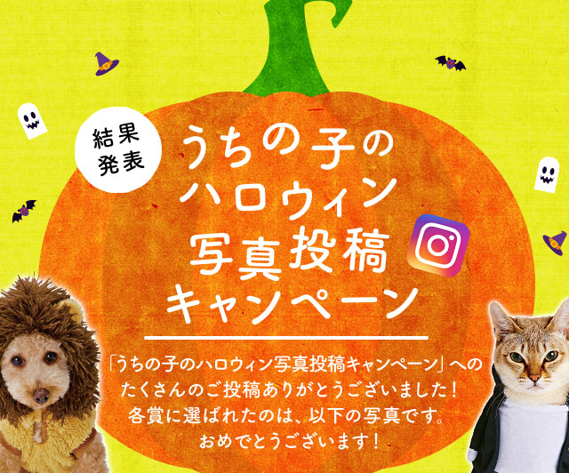 うちの子のハロウィン写真投稿キャンペーン 「うちの子のハロウィン写真投稿キャンペーン」へのたくさんのご投稿ありがとうございました！各賞に選ばれたのは、以下の写真です。おめでとうございます！