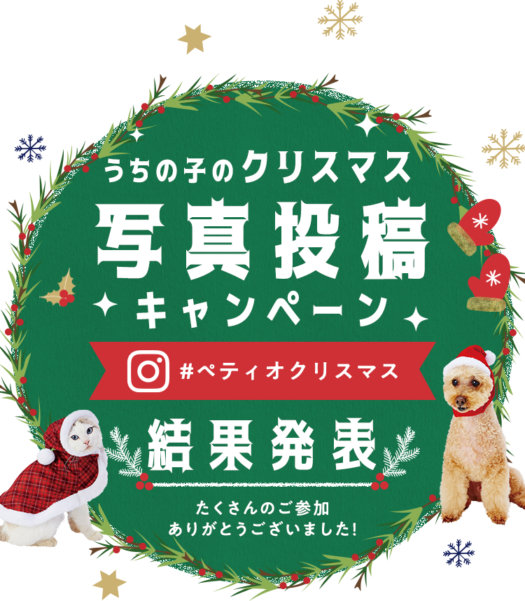 うちの子のクリスマス写真投稿キャンペーン