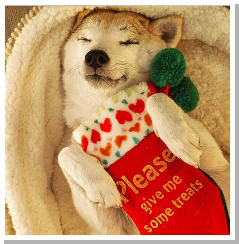 グランプリ作品