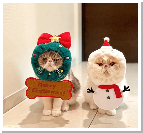 準グランプリ作品