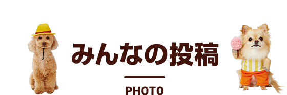 みんなの投稿