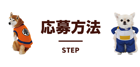 応募方法
