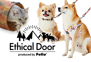 Ethical Door