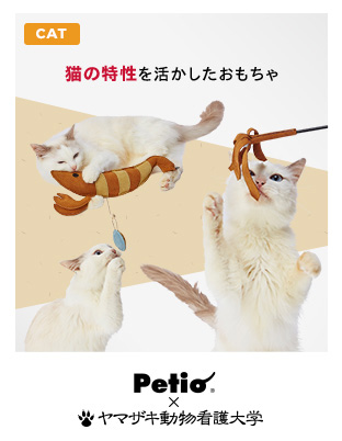 Petio × ヤマザキ動物看護大学　猫の特性を活かしたおもちゃ