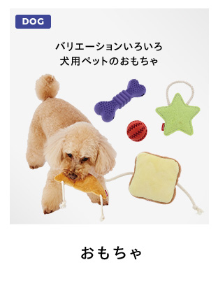 おもちゃ（犬）　バリエーションいろいろ犬用おもちゃ