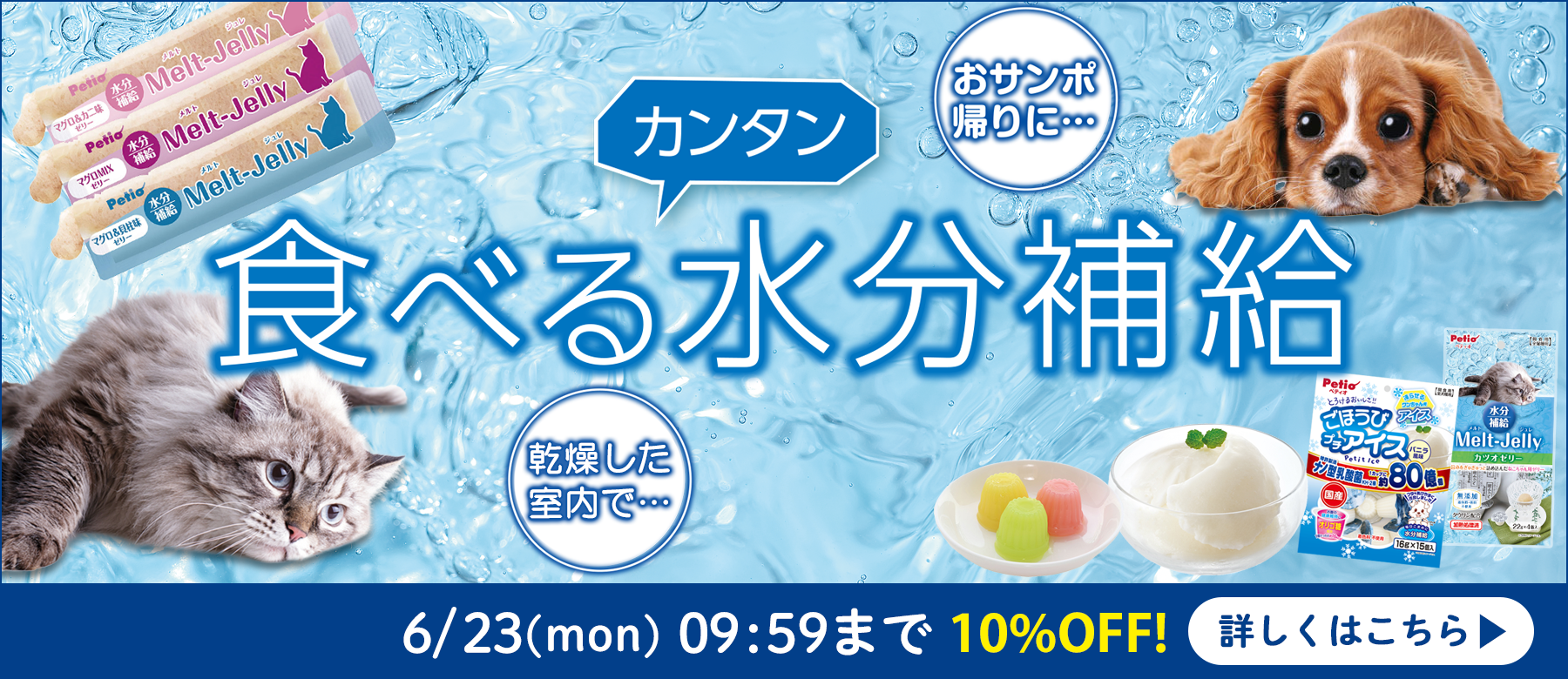 食べる水分補給