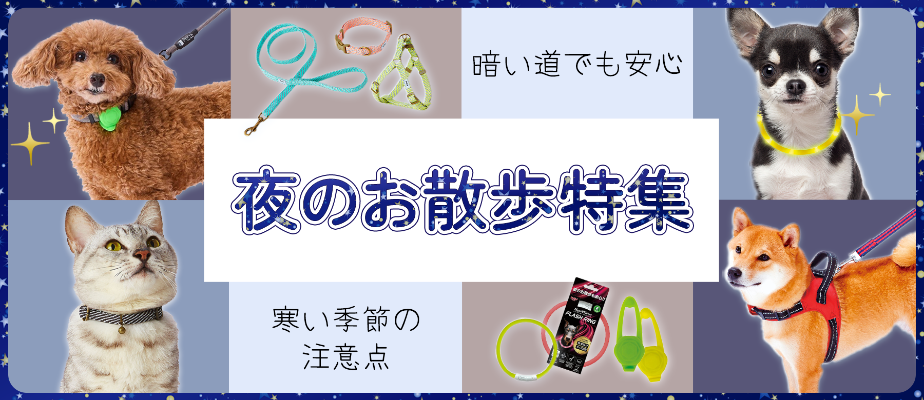 夜のお散歩特集