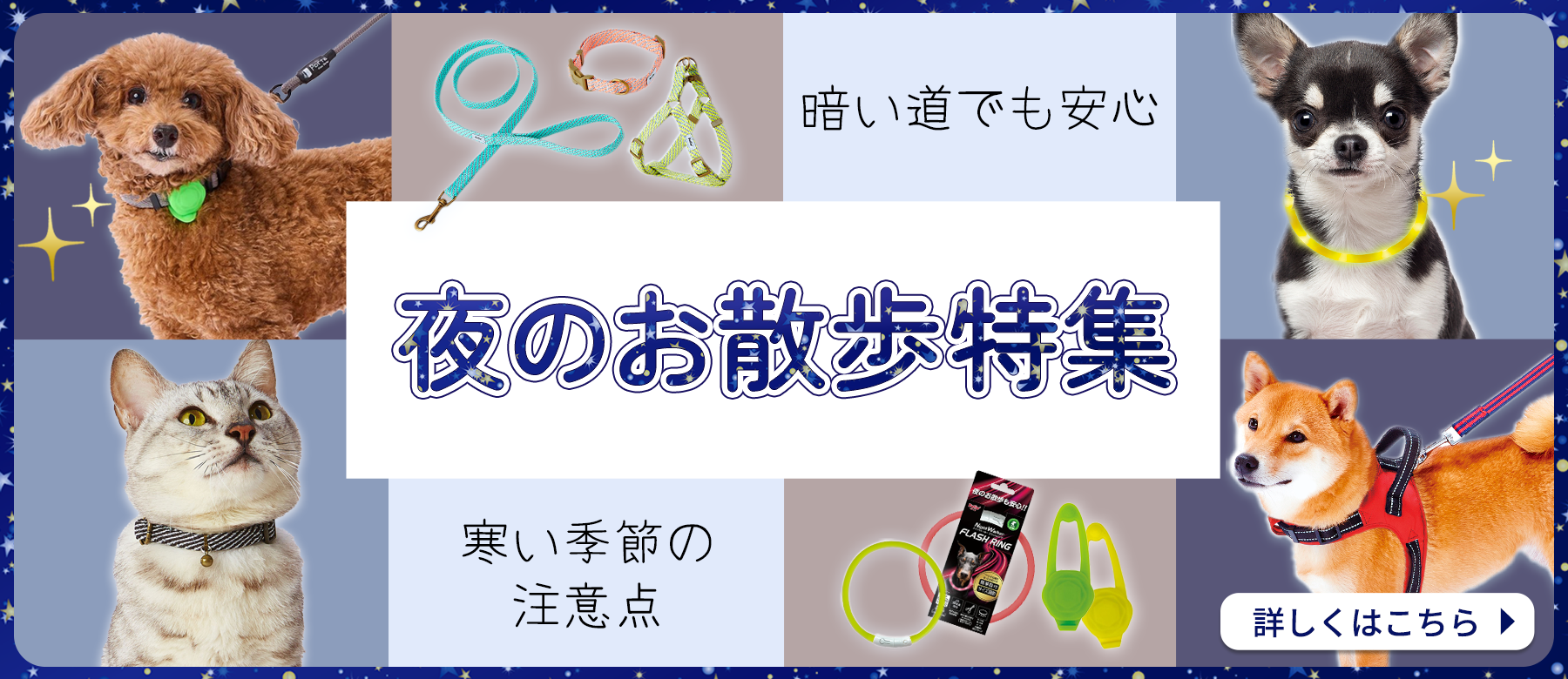 夜のお散歩特集