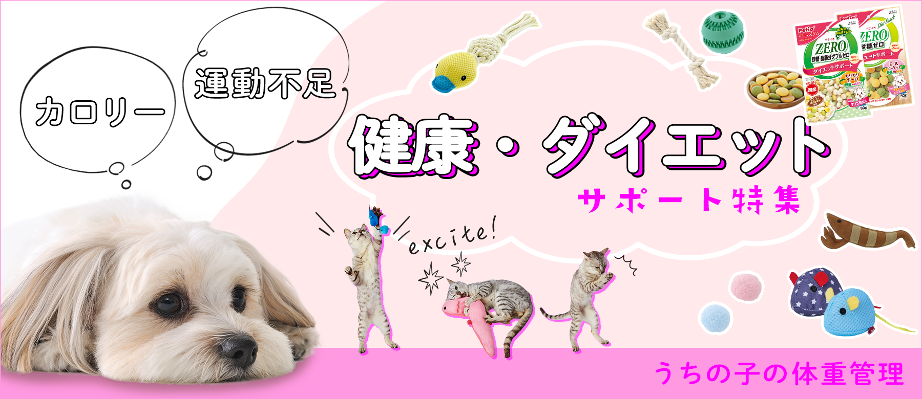 健康・ダイエットサポート特集