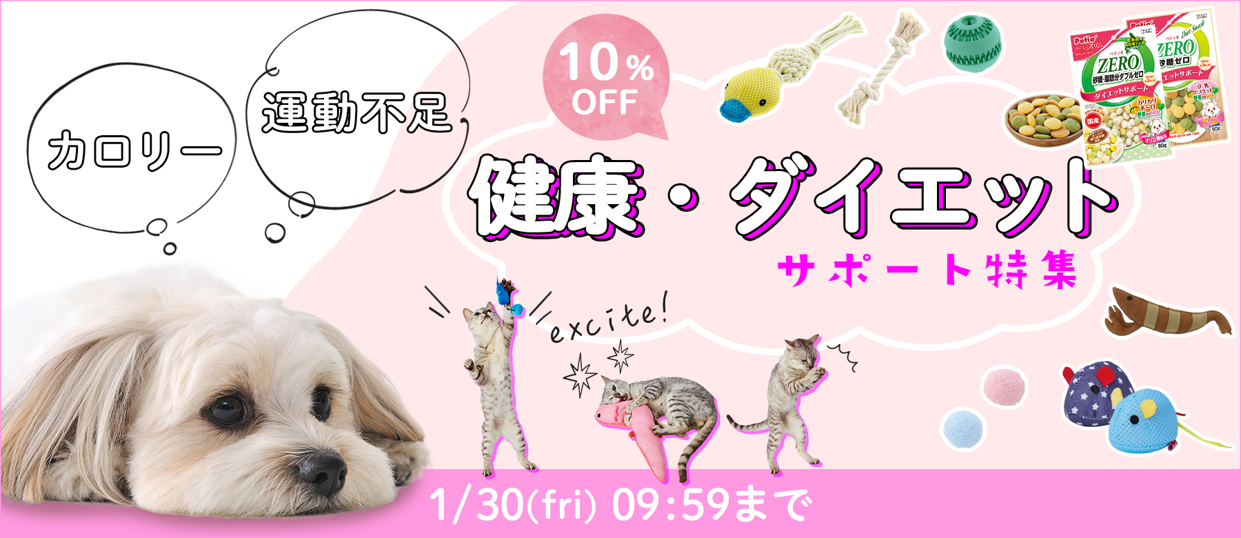 健康・ダイエットサポート特集