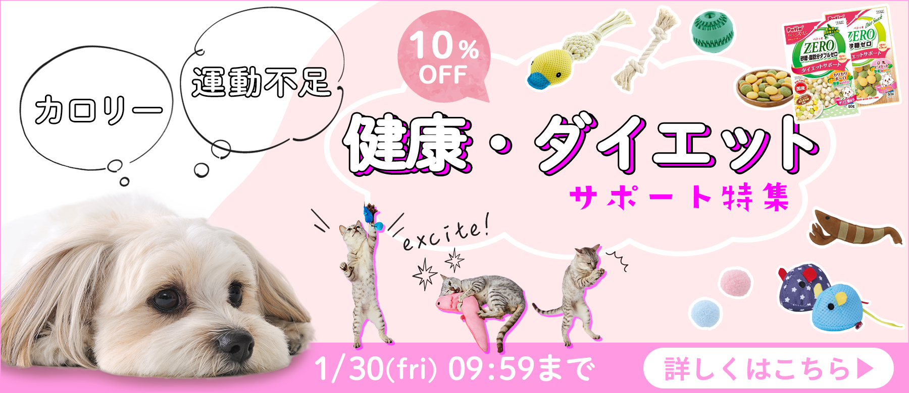 ワンちゃんネコちゃんの健康・ダイエットサポート特集