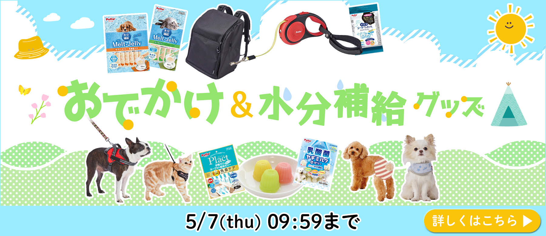 ワンニャンおでかけグッズ特集