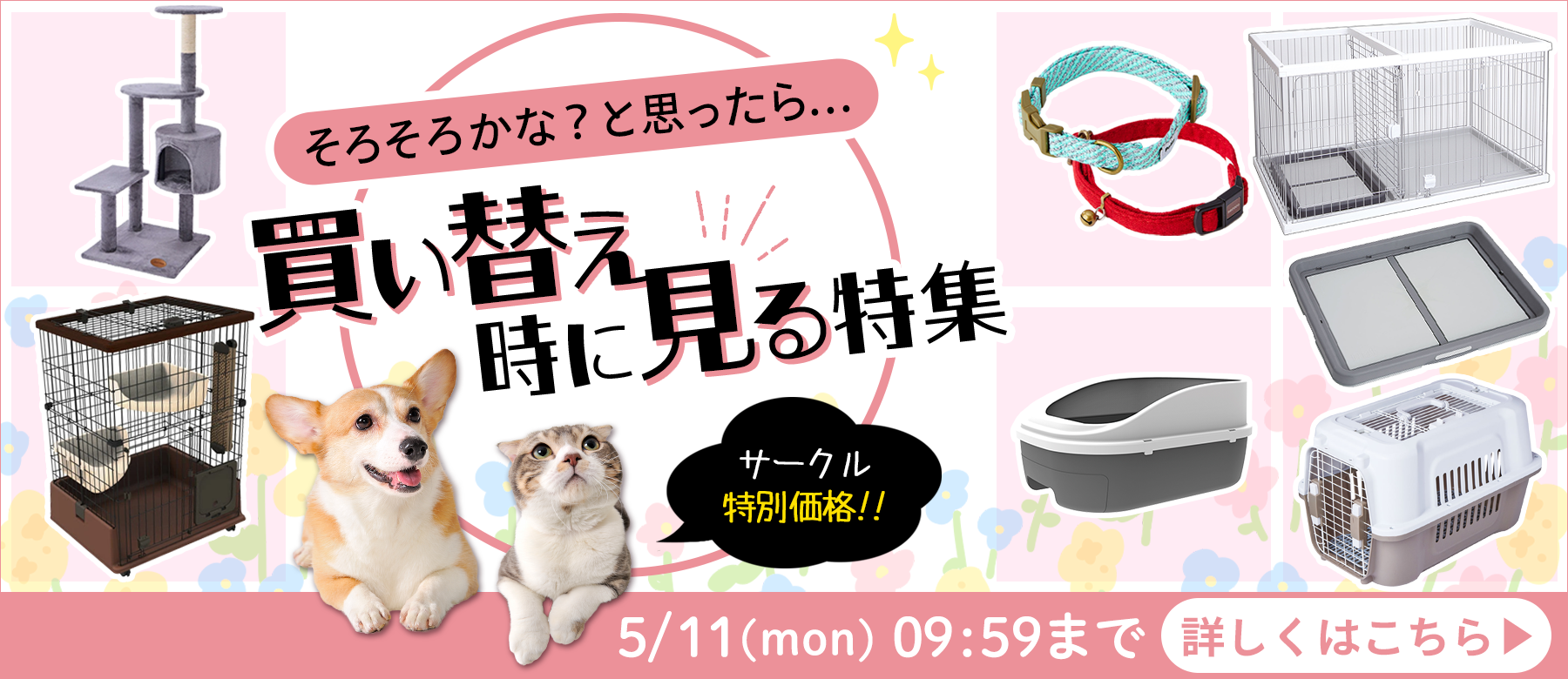 買い替え時に見る特集