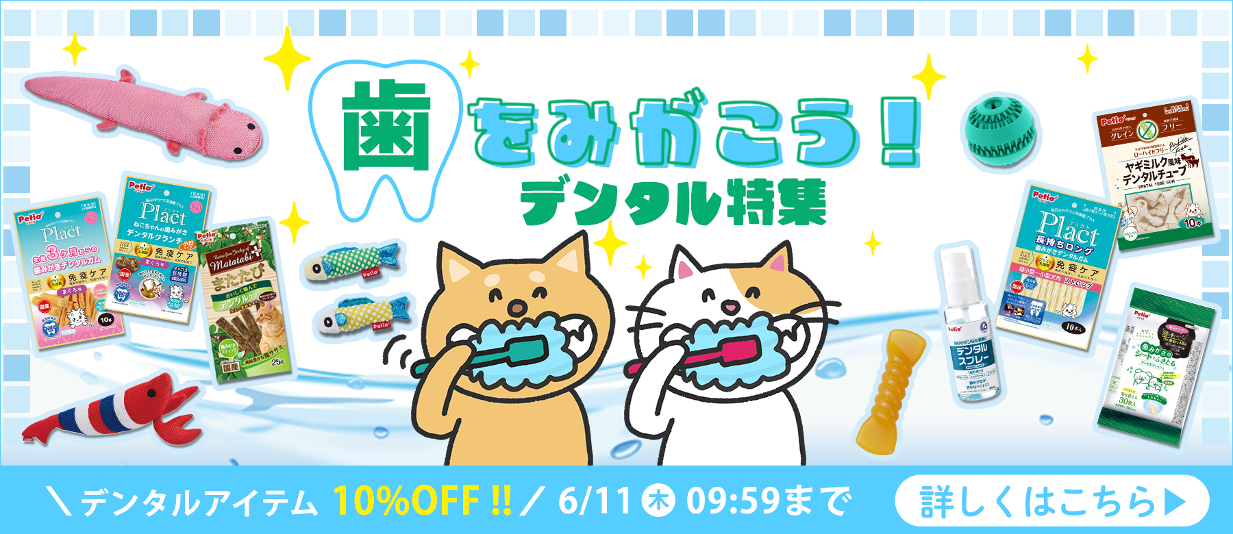デンタルアイテム特集
