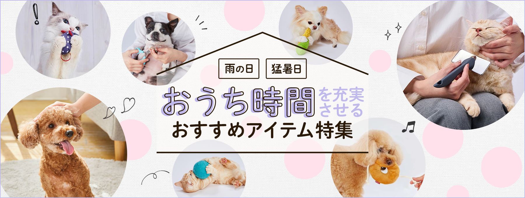 おうち時間特集