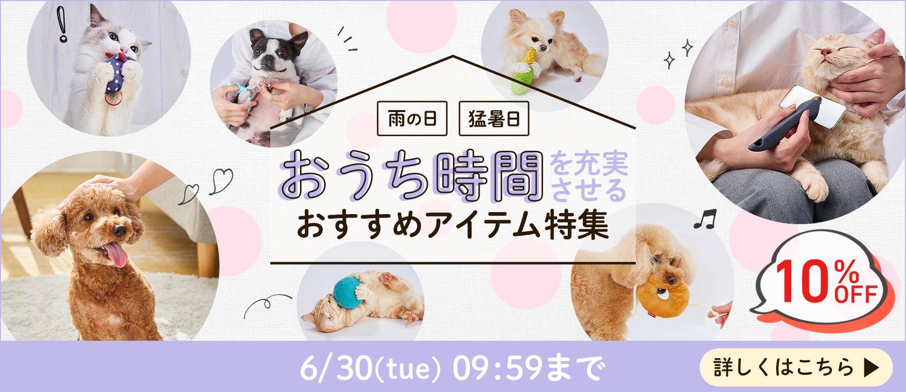 おうち時間を快適に過ごすおすすめアイテム特集