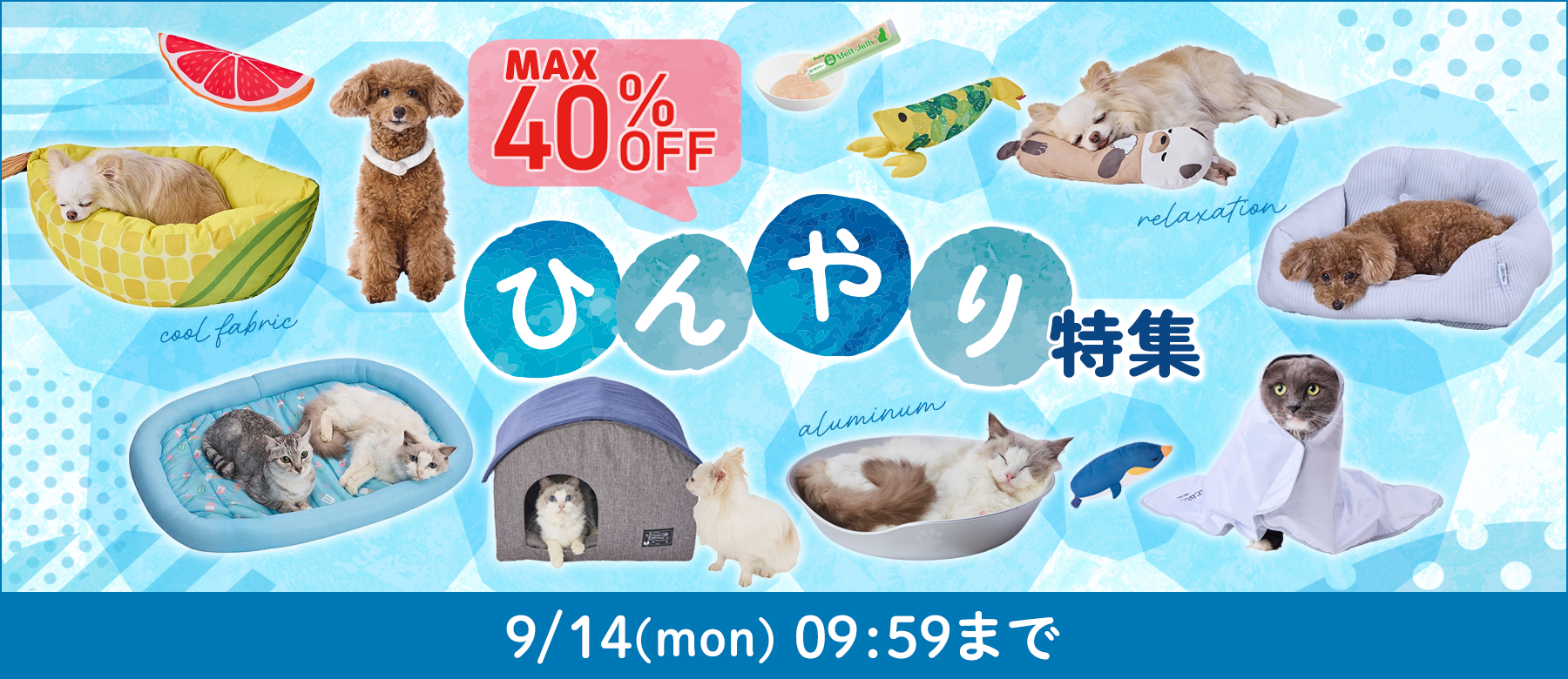 ひんやり特集