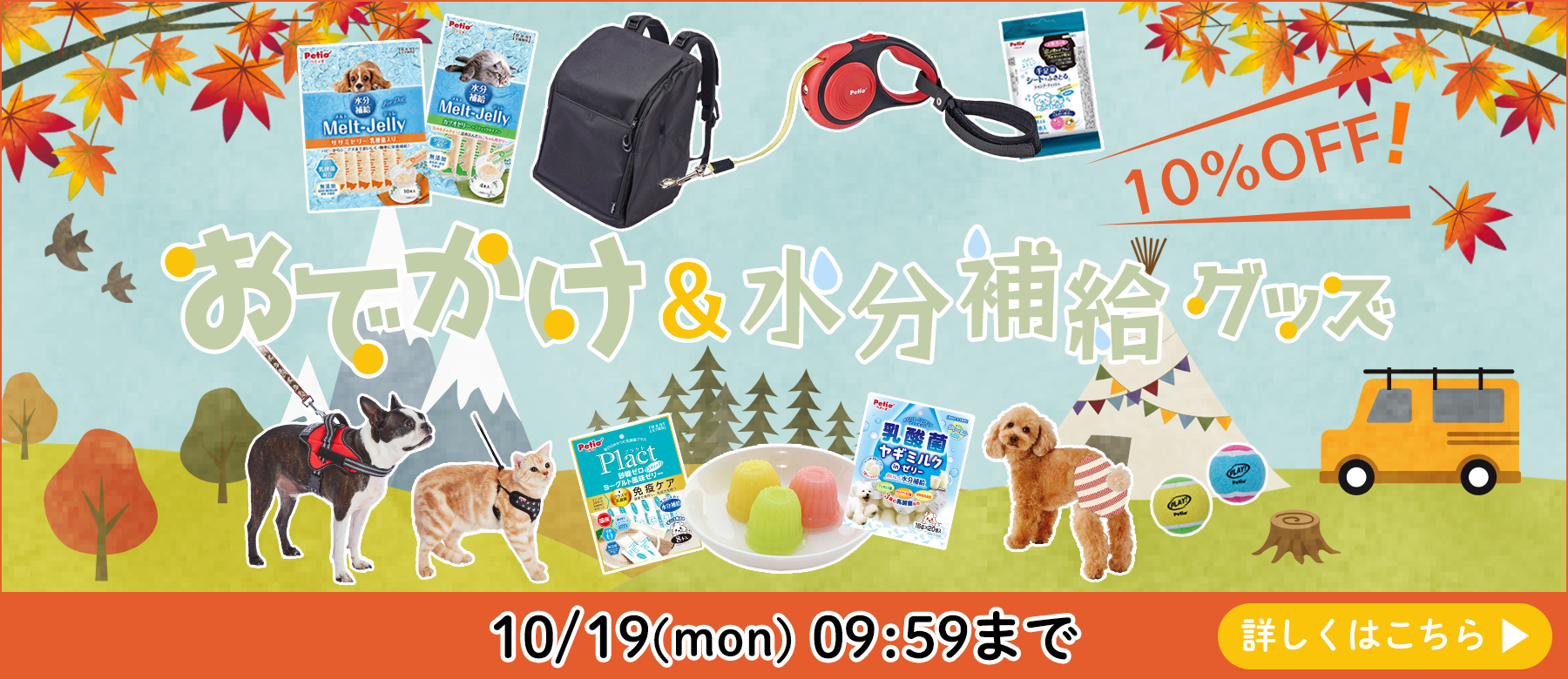 ワンニャンおでかけグッズ特集