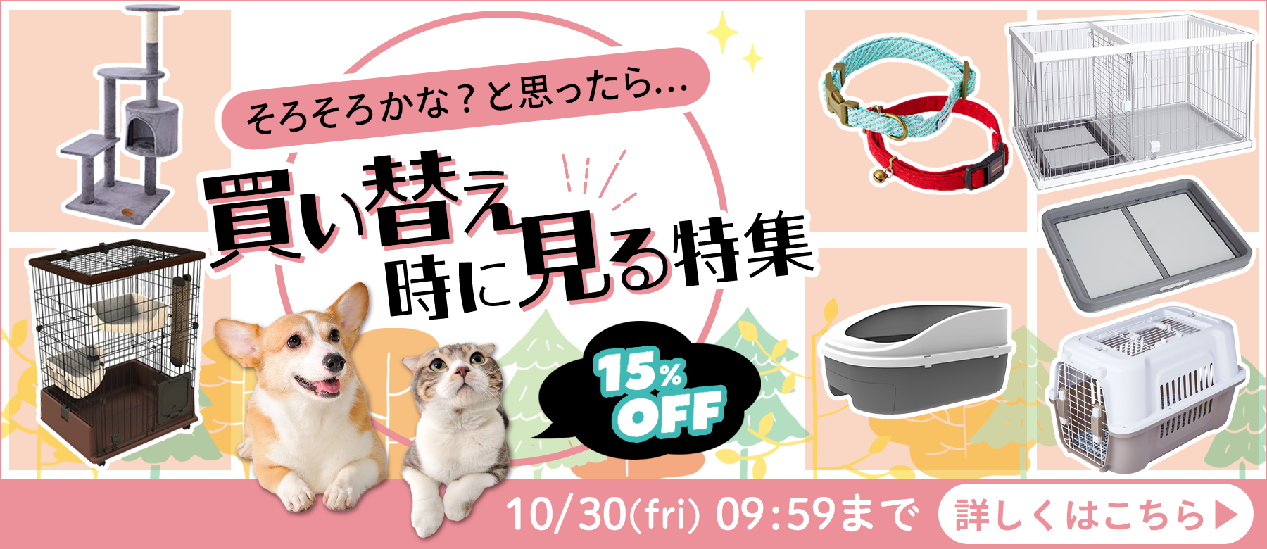 買い替え時に見る特集
