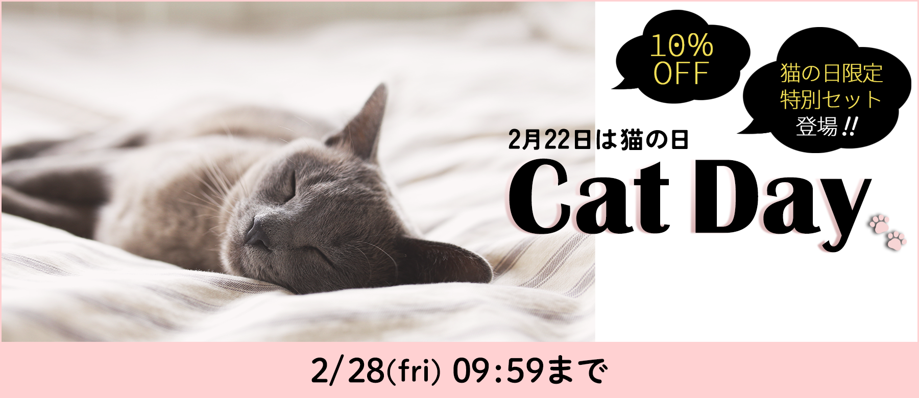 2月22日は猫の日 Cat Day