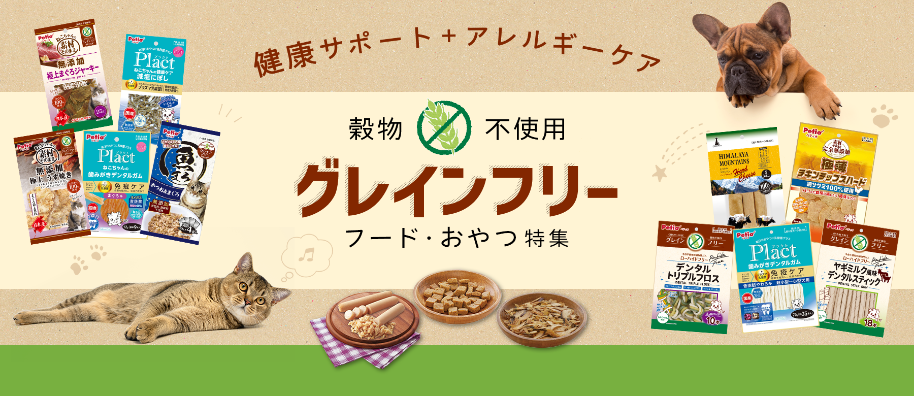 グレインフリー特集