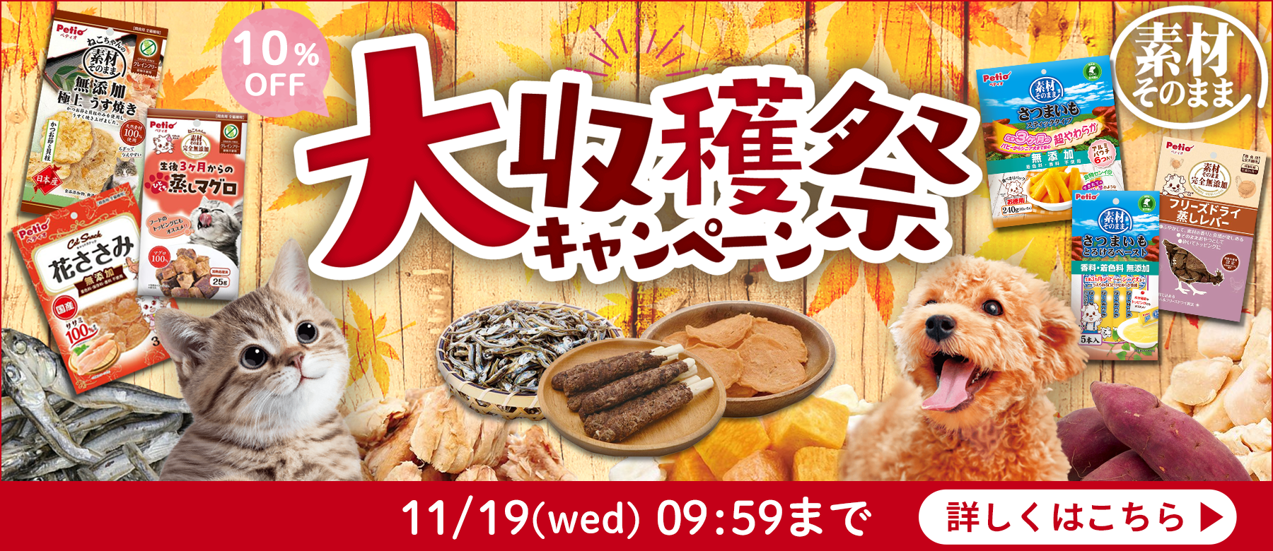 Petio[ペティオショップ] | 犬や猫などペットに関するグッズと情報が満載