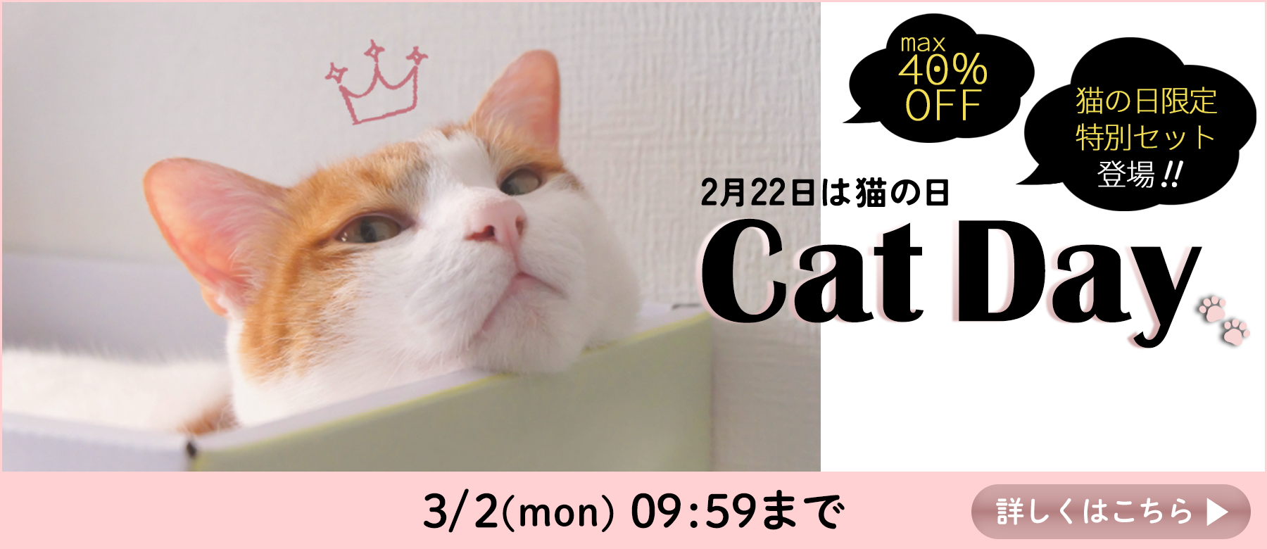 猫の日特集