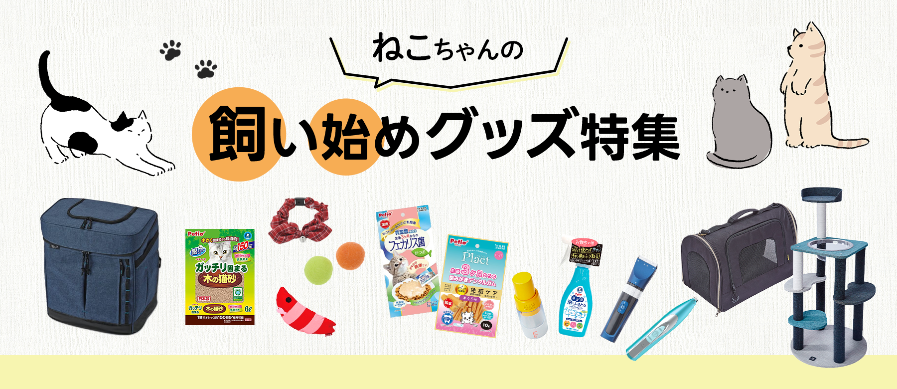 猫の飼い始めグッズ特集