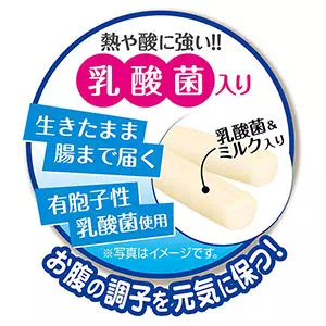 10個入りで1個お得|送料無料|乳酸菌のちから スティックタイプ 100ｇ