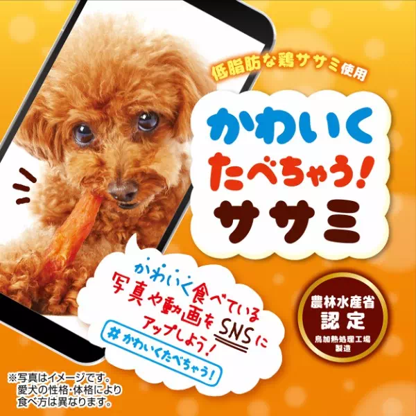可爱的剪刀