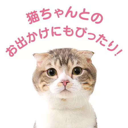 ネコちゃんとのおでかけにもおすすめ