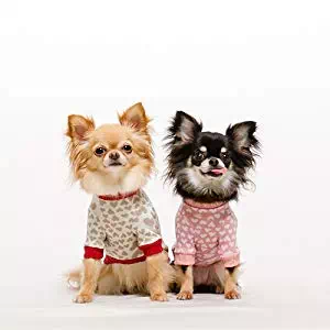 犬に服を着せるメリット