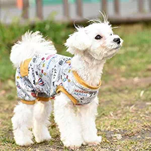 犬の洋服の選び方
